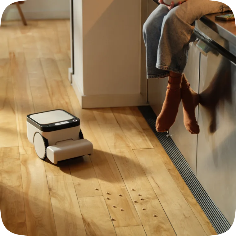 Matic robot vacuum approaching crumbs on a hardwood kitchen floor